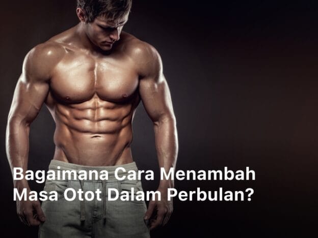 Cara Menambah Massa Otot; cara menambah massa otot dan mengurangi lemak; cara menambah massa otot untuk orang kurus; cara menambah berat badan dan massa otot; cara menambah massa otot dan berat badan; cara menambah massa otot tanpa gym; cara menambah massa otot untuk orang gemuk; cara memperbesar massa otot; cara menaikan massa otot; cara menambah masa otot; cara meningkatkan massa otot; menambah massa otot; cara membesarkan otot; cara memperbesar otot; massa otot; cara membentuk otot; cara membuat tubuh berotot dengan cepat; massa otot adalah;