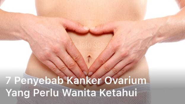 Penyebab Kanker Ovarium yang Perlu Wanita Ketahui; Apa penyebab wanita terkena kanker rahim?; Apakah kanker ovarium bisa terjadi pada wanita yang belum menikah?; tanda awal kanker ovarium;