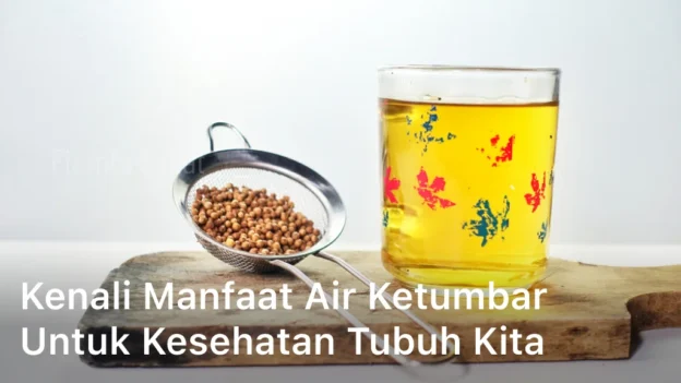 Kenali Manfaat Air Ketumbar Untuk Kesehatan Tubuh Kita