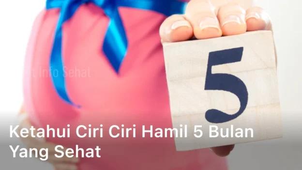 Ketahui Ciri Ciri Hamil 5 Bulan yang Sehat