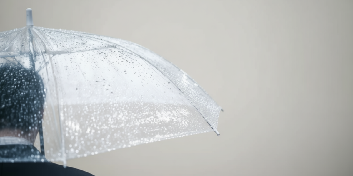 4523948d f510 4ed7 b2de 789ec4b97f56 0