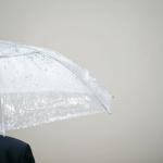 4523948d f510 4ed7 b2de 789ec4b97f56 0