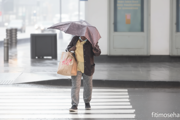 52b3dce5 a953 408a b1a4 a671200598db 0