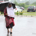 725048b7 94d3 4fa0 8a20 cdff11f3f489 0