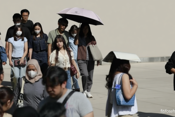 7ff9a4d7 962c 4241 a6c8 7c0b22888f2e 0