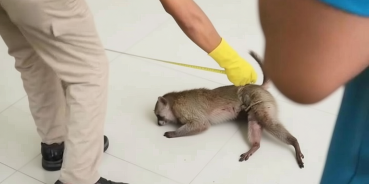 02e779ad c27f 47b7 bb7c 4b0cf8094c43 0