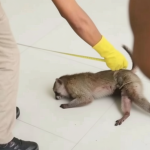 02e779ad c27f 47b7 bb7c 4b0cf8094c43 0