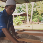 037b6ea5 07fb 4881 962e eb2482f0b9aa 0