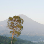 4ab7fe84 d5fa 47de bdf5 05665de74708 0