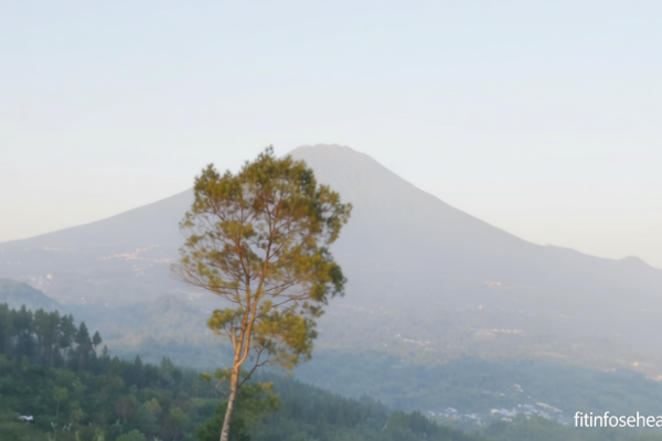 4ab7fe84 d5fa 47de bdf5 05665de74708 0