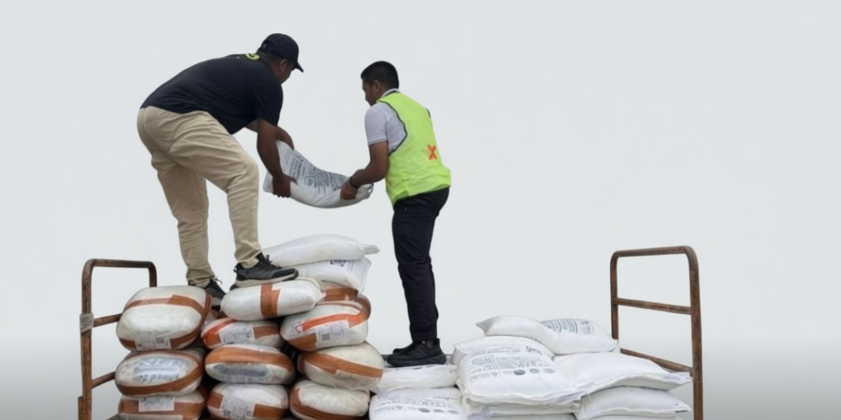 63a10a67 2c1d 41d7 b80f bf0a850dc8e5 0