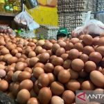 7D22A54D E7CD 4598 9266 CEB2031C7E7F