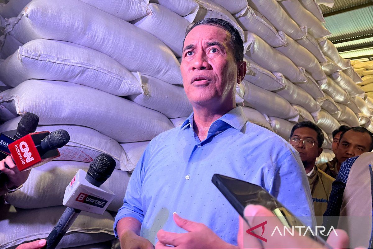 Rencana Khusus: Pemerintah tetapkan HPP gabah petani bertahan Rp6.500 per kilogram