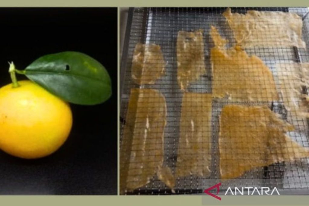 IMG 20260414 114946.jpg