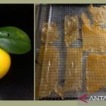 IMG 20260414 114946.jpg