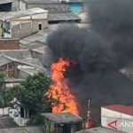 InShot 20260415 170353209