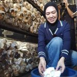 PLN UID Kalselteng motor listrik.jpeg Jurnalis