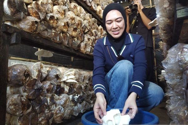 PLN UID Kalselteng motor listrik.jpeg Jurnalis