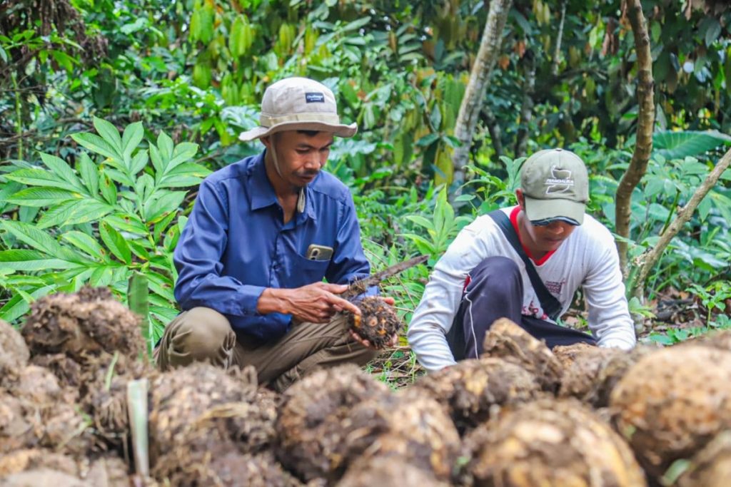 WhatsApp Image 2026 04 28 at 18.58.43