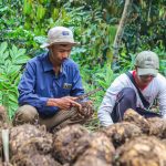 WhatsApp Image 2026 04 28 at 18.58.43