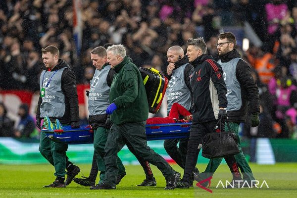 XxjpbeE000016 20260415 PEPFN0A001