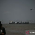 thumbs b c 3e0846ea6ddb84cf95bf29f19dea4d8c