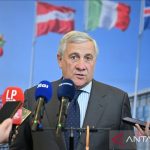 thumbs b c b49db0c00509d5630ac2128e2ccf56dd