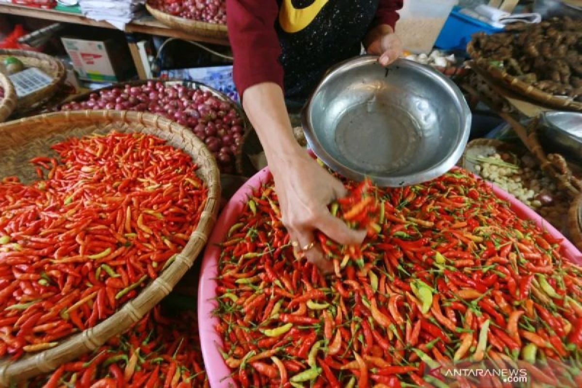 New Policy: PIHPS: Harga cabai rawit Rp63.700/kg, telur ayam Rp31.400/kg