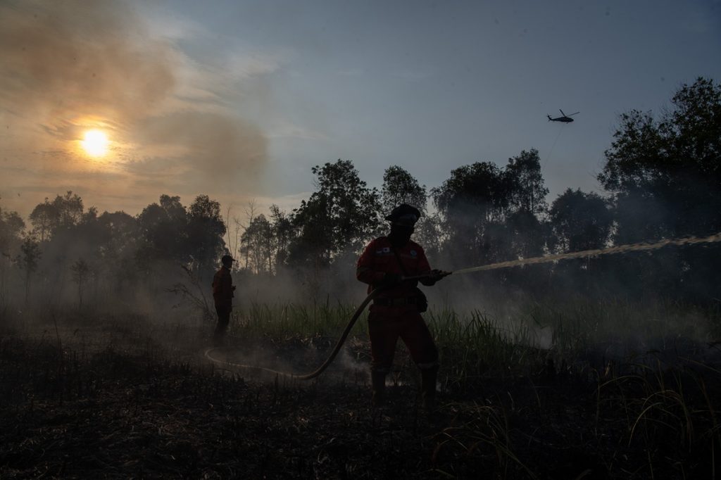 Petugas dari Manggala Agni Daops Banyuasin melakukan pemadaman kebakaran lahan di Desa Soak Batok, Indralaya Utara, Ogan Ilir (OI), Sumatera Selatan, Minggu (10/8/2025).