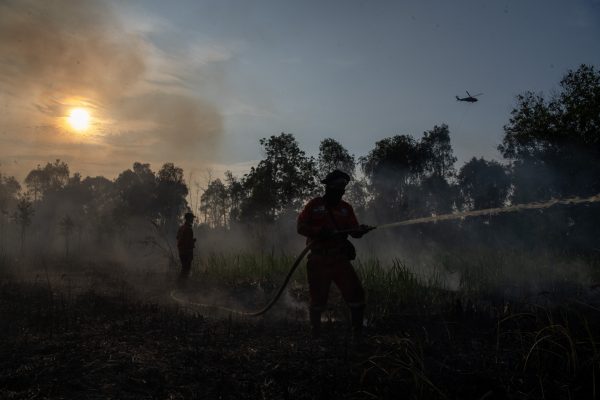 Petugas dari Manggala Agni Daops Banyuasin melakukan pemadaman kebakaran lahan di Desa Soak Batok, Indralaya Utara, Ogan Ilir (OI), Sumatera Selatan, Minggu (10/8/2025).
